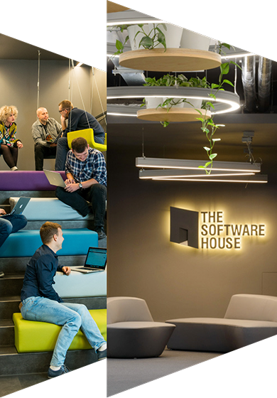 Technanosoft website visual