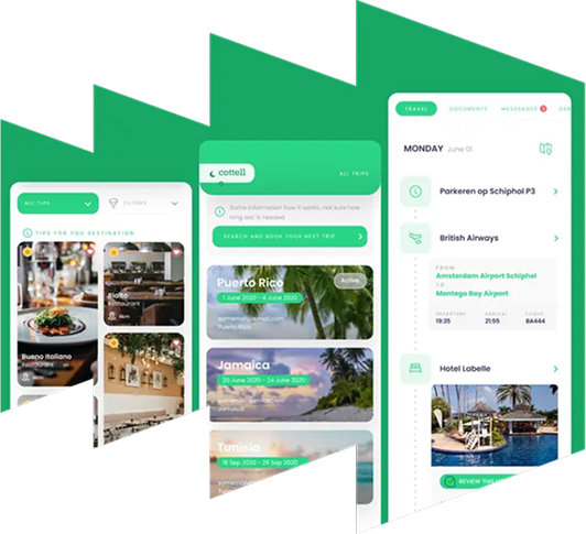 Technanosoft website visual