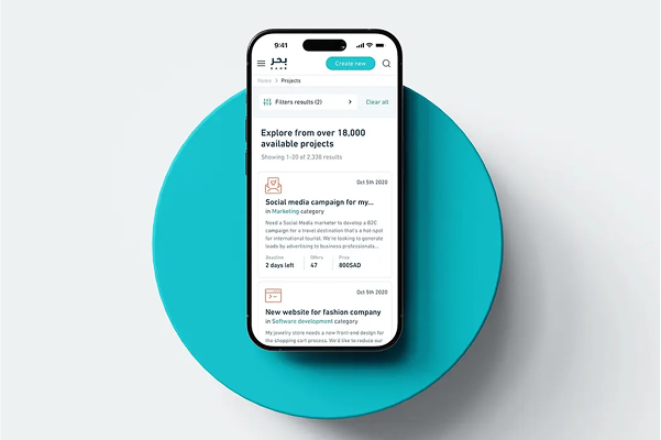 Technanosoft website visual