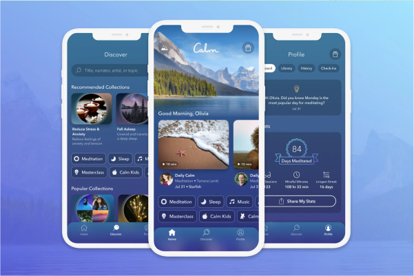 Technanosoft website visual